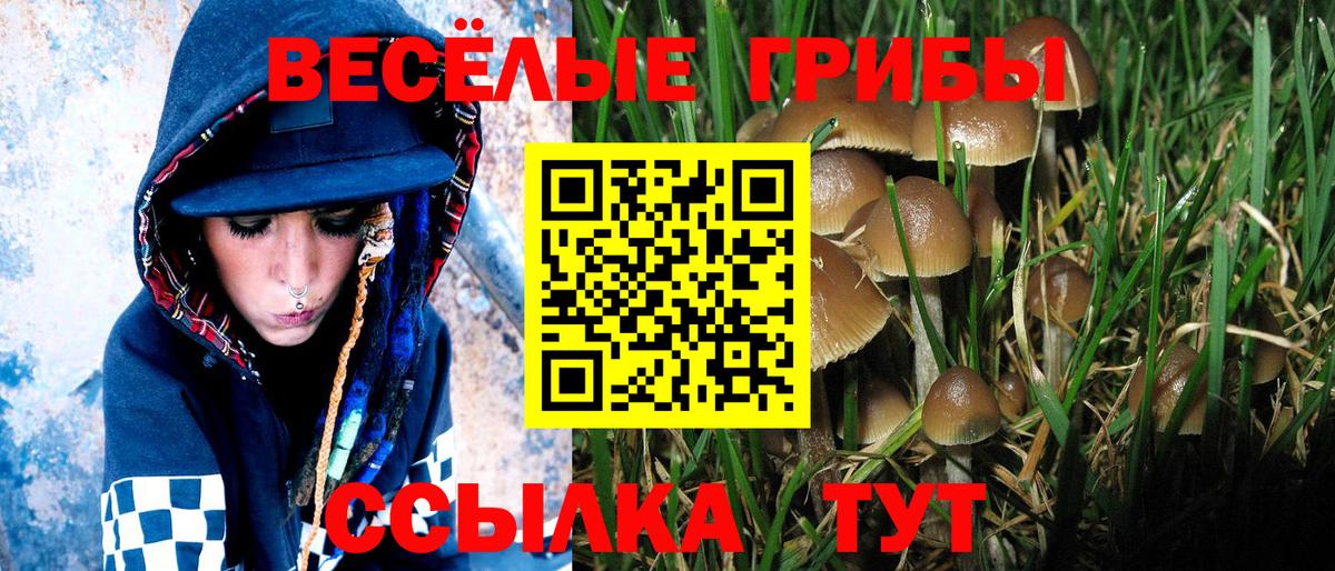 Галлюциногенные грибы прущие грибы Димитровград