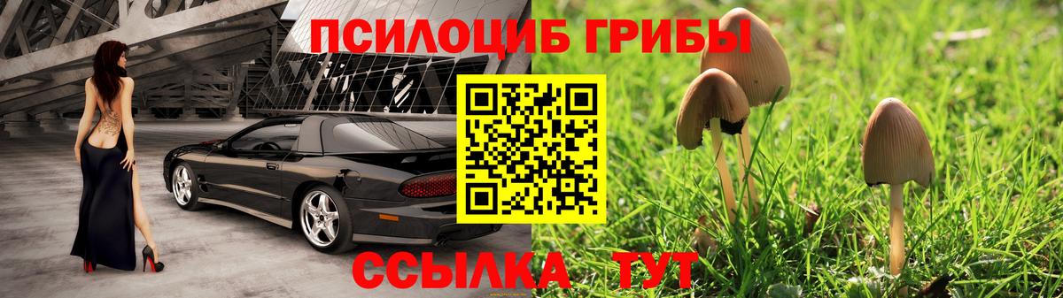 Галлюциногенные грибы мицелий  Галлюциногенные грибы Psilocybine cubensis  купить  цена  Вход с VPN  Димитровград 