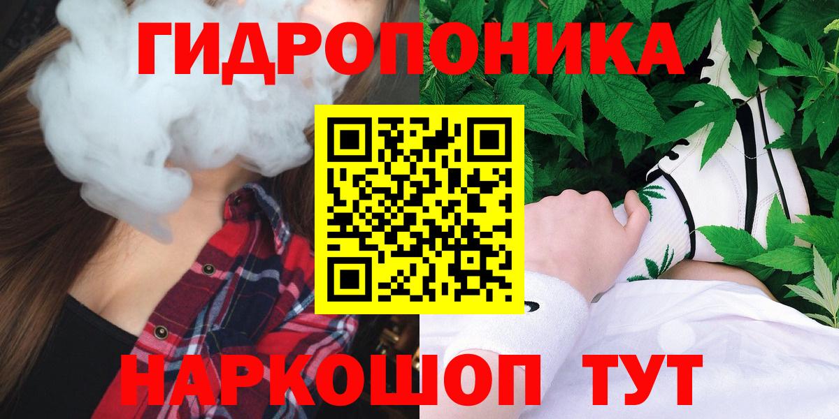 Бошки Шишки планчик Димитровград